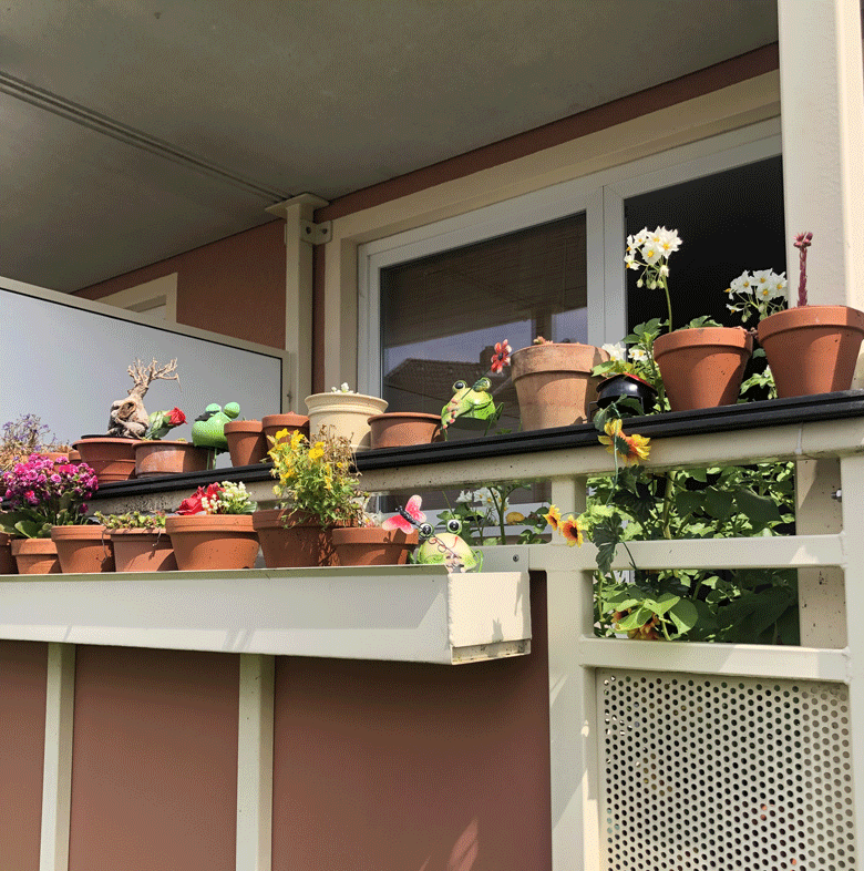 Broitzem Balkongarten