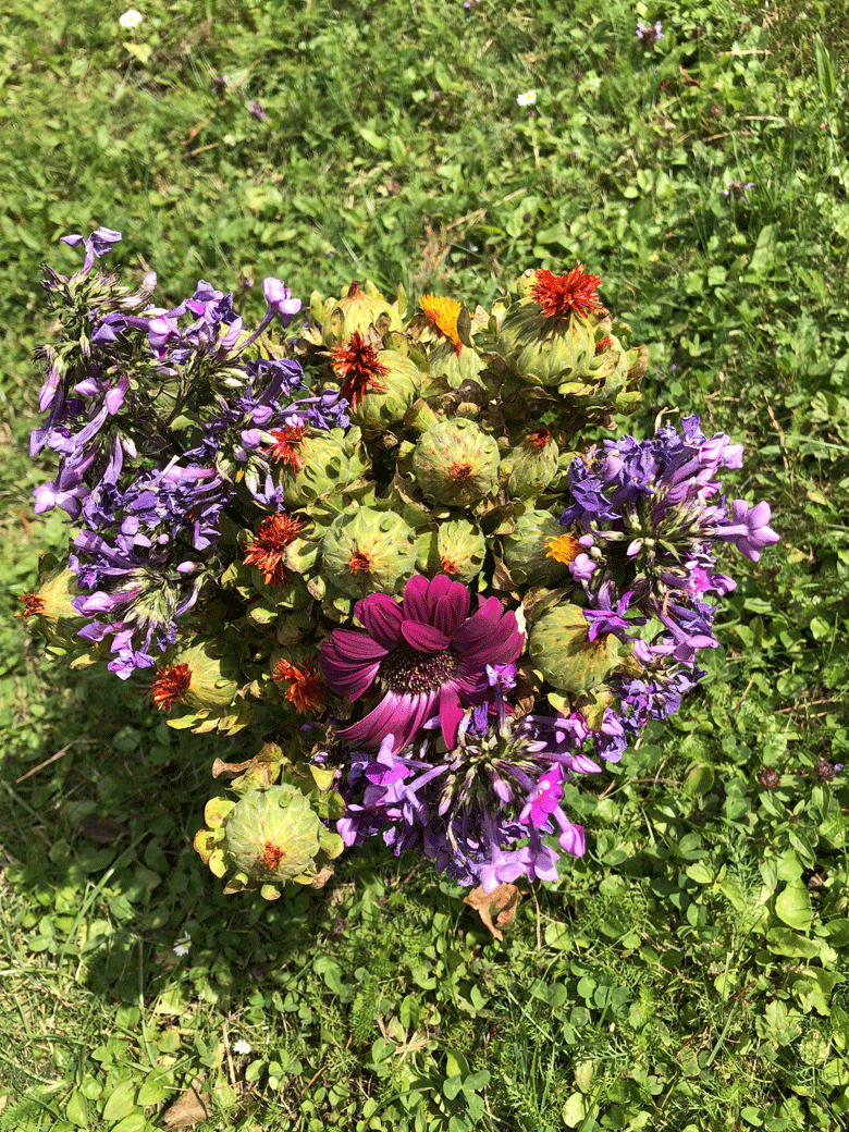Broitzem Blumen
