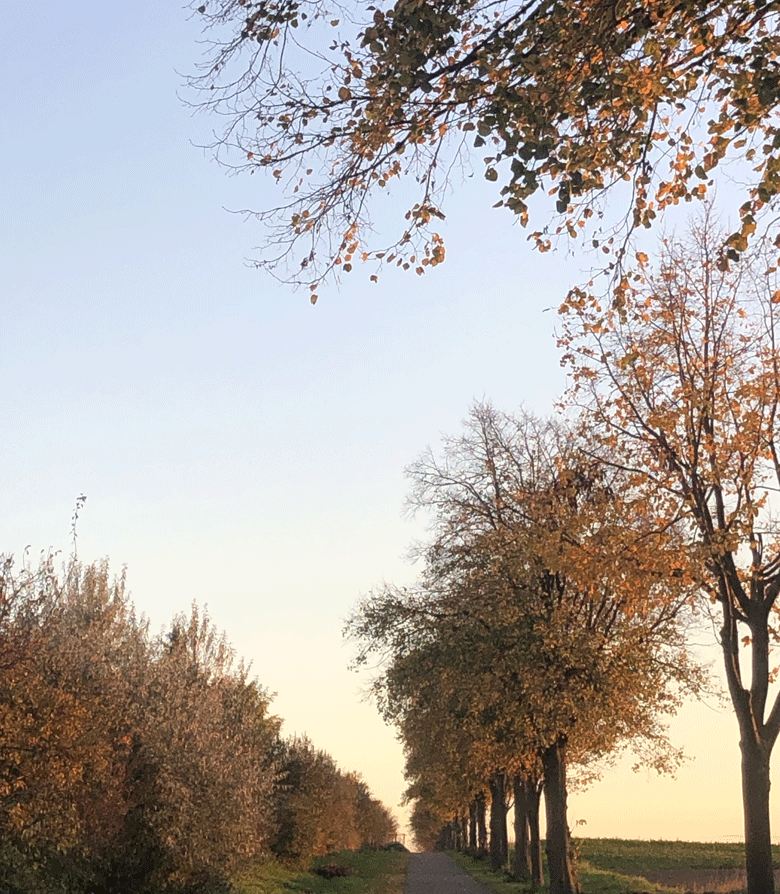 Broitzem-780-Herbstspazierg
