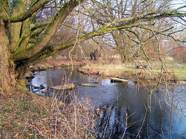 Fuhse-Kanal Einmndung-Sdsee