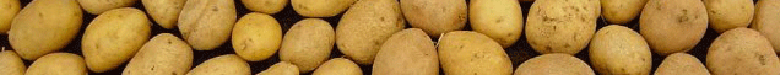 Kartoffeln